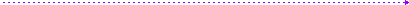 bar07_dashed_purple_a.gif